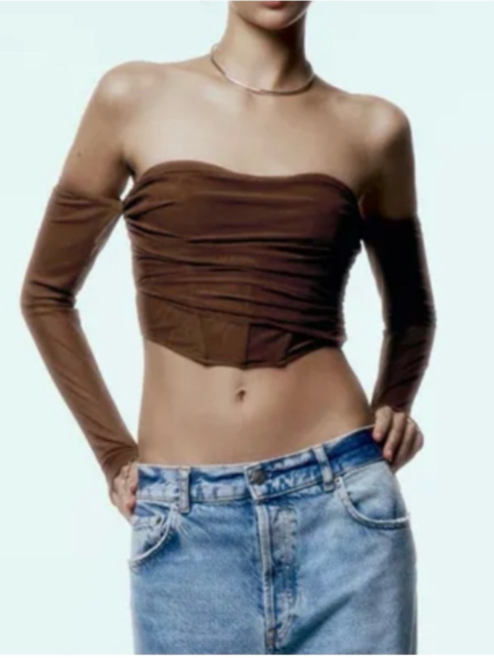 Zara Brown Mesh corset Crop Top